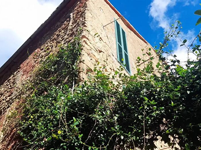 Appartamento trilocale in affitto in Magliano in Toscana, Magliano In Toscana