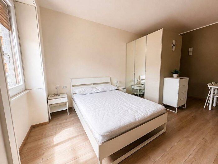 Appartamento monolocale in affitto in Via Ruggero Boscovich, Buenos Aires, Milano