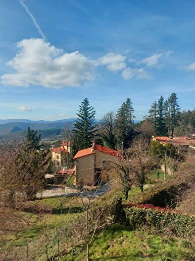 Appartamento con 5 locali in vendita in Vaglia