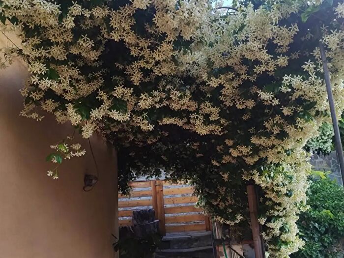 Appartamento quadrilocale in affitto in Tuscania