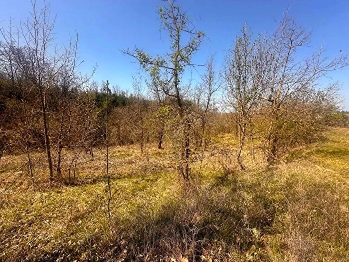 Casa con 5 locali in vendita in Monleale