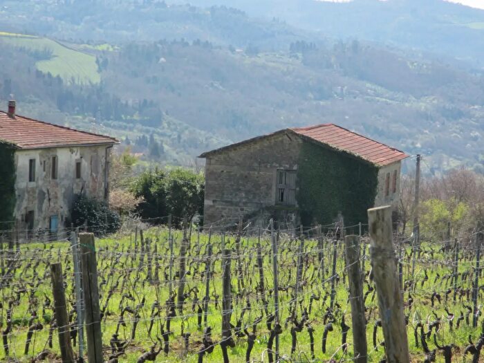 Casa con 13 locali in vendita in Via del Palagio in Colognole, Pontassieve