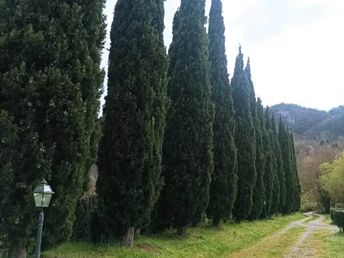 Casa con 5 locali in vendita in Borgo San Lorenzo