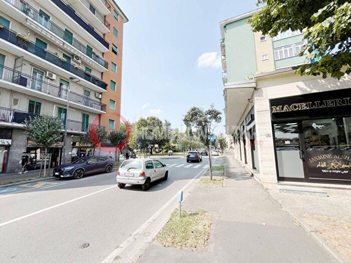 Appartamento trilocale in affitto in Viale Lombardia, San Maurizio al Lambro, Cologno Monzese