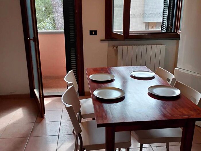 Appartamento quadrilocale in affitto in Via Aurelia, Castiglioncello, Rosignano Marittimo