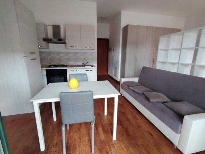 Appartamento monolocale in affitto in Viale Angelo Masini, Bolognina, Bologna