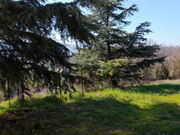 Appartamento con 5 locali in affitto in Amelia