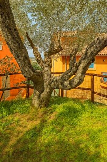 Appartamento in vendita in Monte Argentario