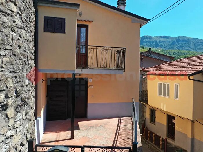 Casa trilocale in vendita in Via dellArgine Snc, San Romano In Garfagnana