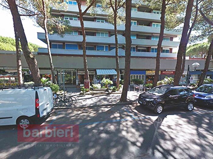 Appartamento trilocale in affitto in viale dante, Mare, Cervia