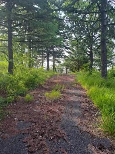 Casa quadrilocale in vendita in Località Santa Cecilia, Sasso Marconi
