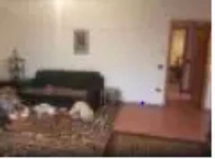 Appartamento in vendita in Via Trasanni, Urbino