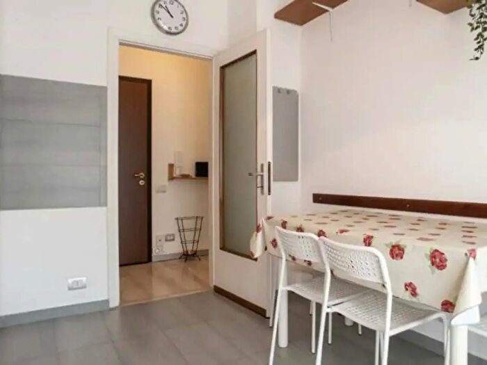 Appartamento monolocale in affitto in Viale Giovanni Suzzani, Milano