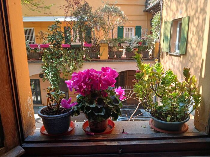 Appartamento quadrilocale in affitto in Via San Felice, San Felice, Bologna