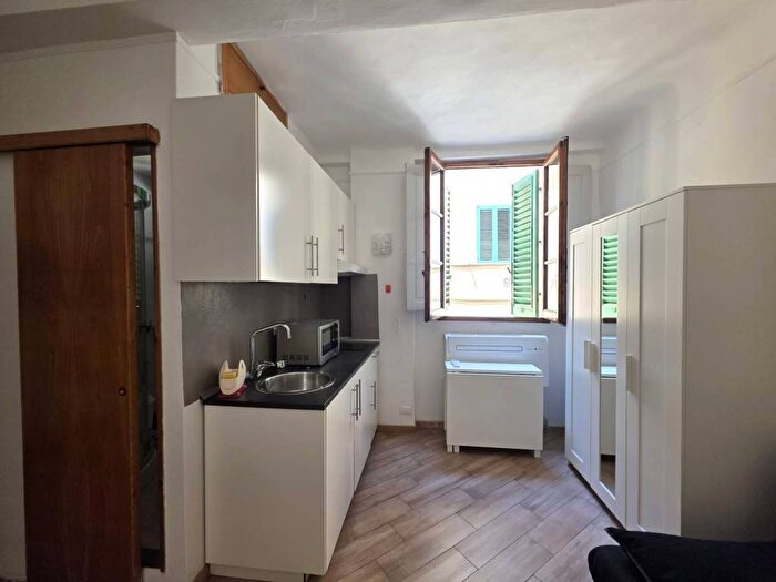 Appartamento monolocale in affitto in Via dei Canacci, Borgo Ognissanti Il Prato, Firenze