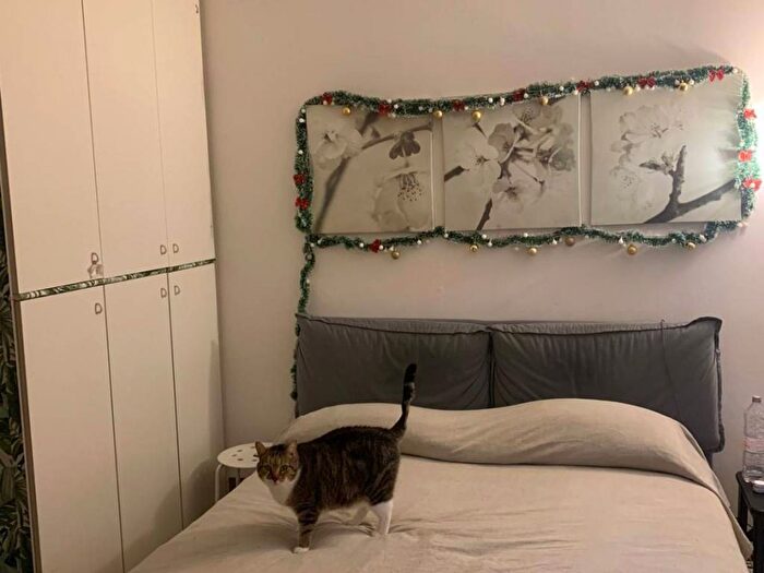 Appartamento monolocale in affitto in Via Trento, Centro, San Martino Siccomario