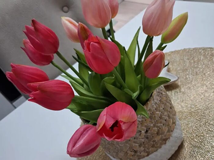 Appartamento bilocale in vendita in Ponte San Nicolo