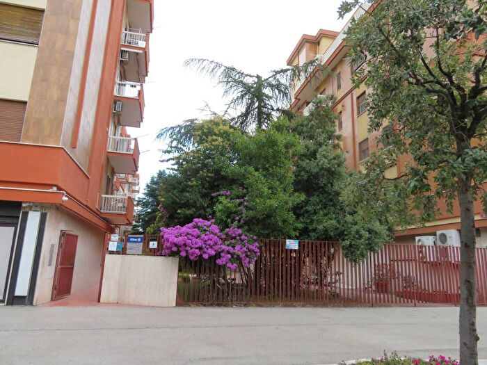 Appartamento quadrilocale in affitto in Viale Michelangelo, San Pio X, Foggia