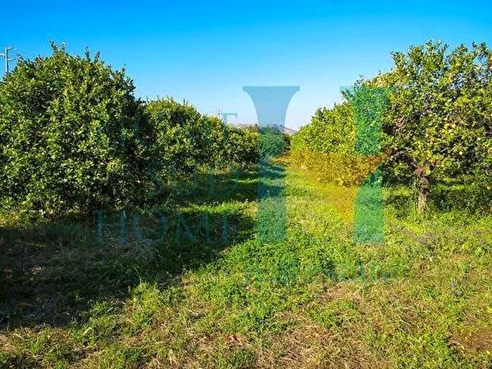 Casa in vendita in Avola, Noto