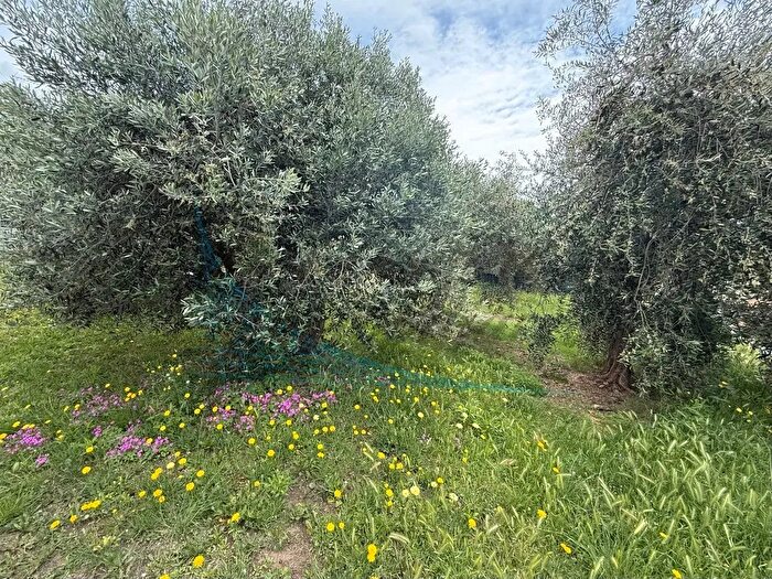 Appartamento con 5 locali in vendita in Via per Rosignano, Rosignano Marittimo
