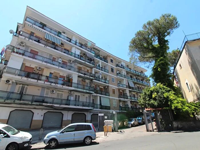 Appartamento bilocale in affitto in Via Ponti Rossi, Napoli