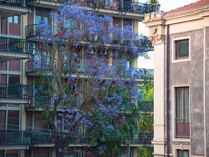Appartamento con 6 locali in affitto in Via Basile, Catania