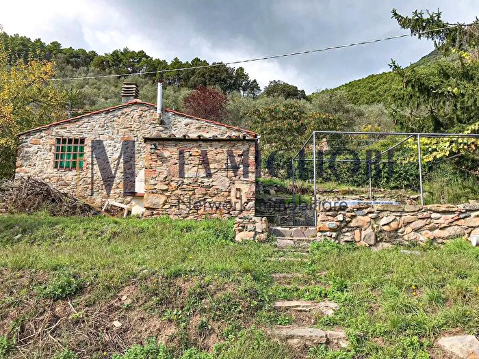 Casa bilocale in vendita in Calci