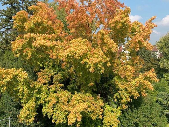 Appartamento quadrilocale in affitto in Centro Storico, Vicenza