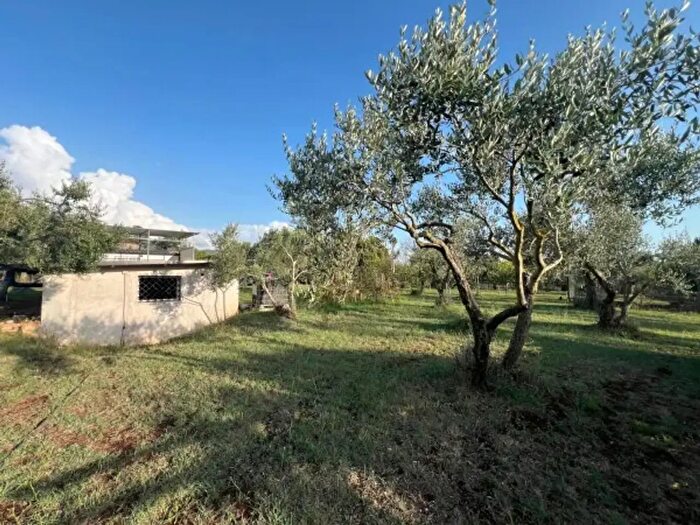 Casa monolocale in vendita in Poli