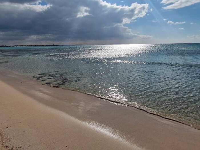 Appartamento trilocale in affitto in Via Giosuè Borsi, Torre Lapillo, Porto Cesareo