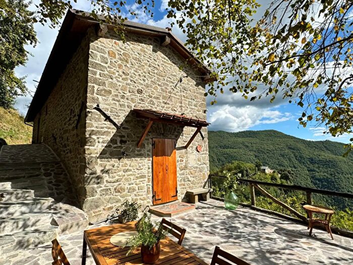 Casa con 8 locali in vendita in Strada Comunale Capraia, Pieve Fosciana
