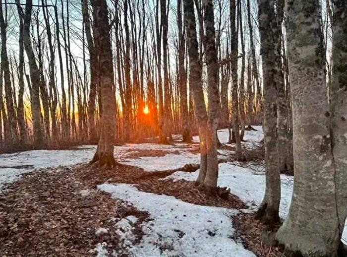 Casa monolocale in vendita in Via dei Frassini, Rieti