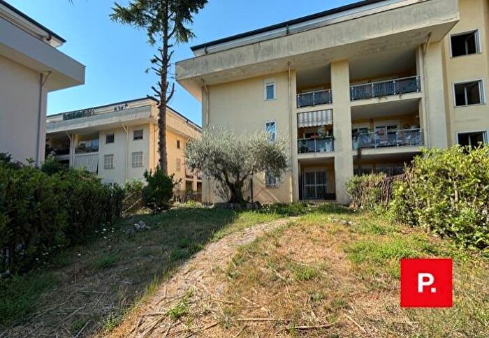 Appartamento con 5 locali in affitto in Via Campania, Falciano, Caserta