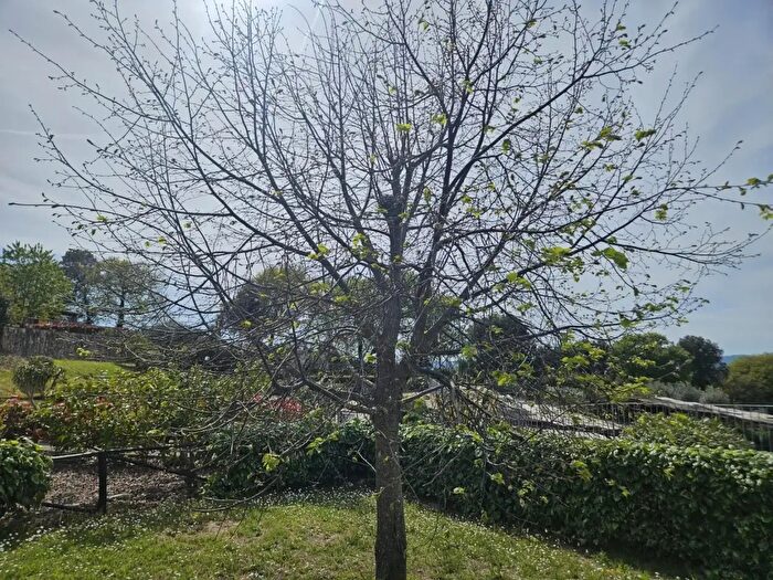 Appartamento bilocale in vendita in Santa Luce