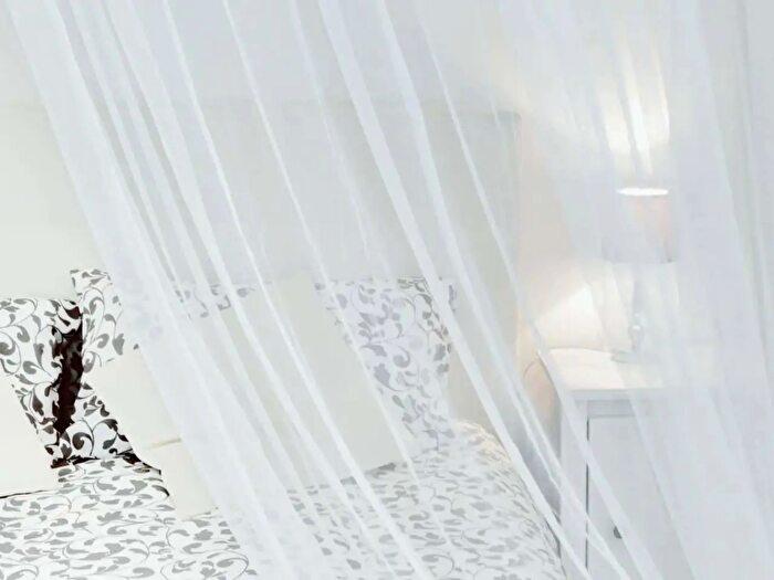 Appartamento monolocale in affitto in Via Laura Mantegazza, Roma