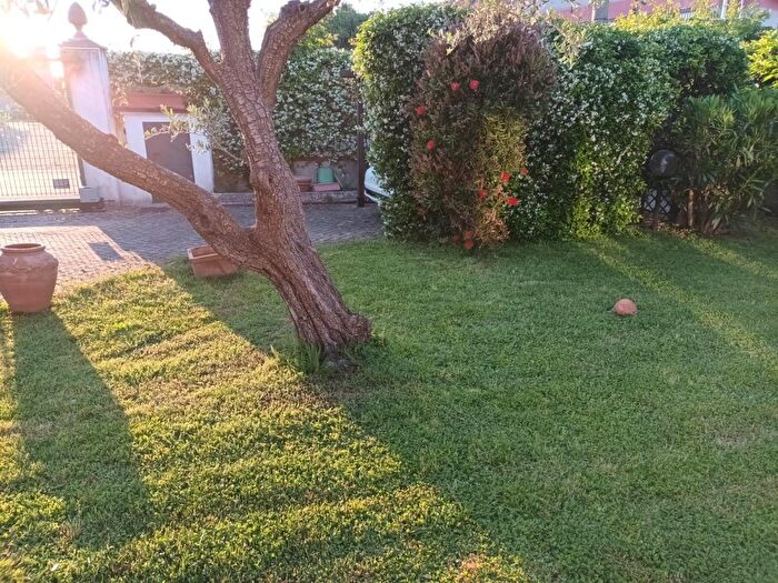 Casa trilocale in affitto in Sarzana