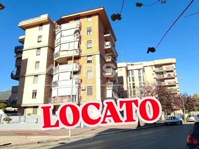 Appartamento quadrilocale in affitto in Via Barletta, Santa Maria dei Miracoli Via Canosa, Andria
