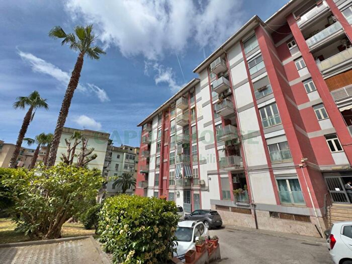 Appartamento quadrilocale in affitto in Via Consalvo, Fuorigrotta, Napoli