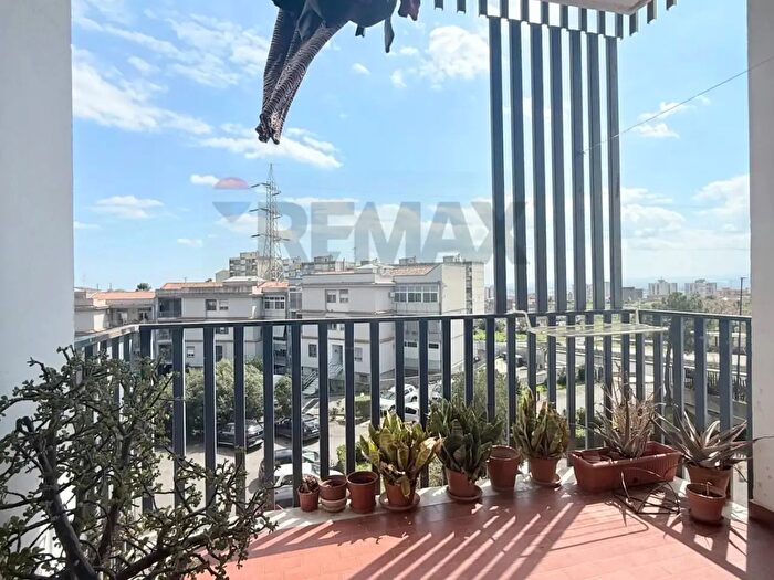 Appartamento con 7 locali in vendita in Viale Grimaldi, Catania