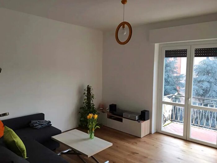 Appartamento monolocale in affitto in Via Luigi Biraghi, Milano
