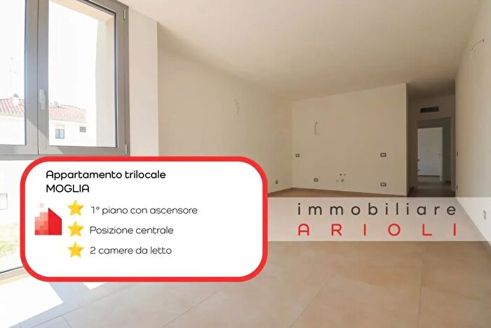 Appartamento quadrilocale in vendita in Moglia, Moglia