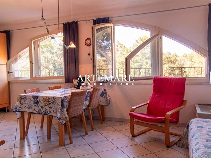 Appartamento trilocale in affitto in Via Magliano, Marina di Massa Centro, Massa