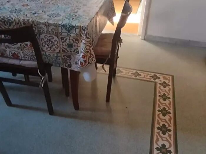 Casa con 5 locali in vendita in Via Garibaldi, Camaiore