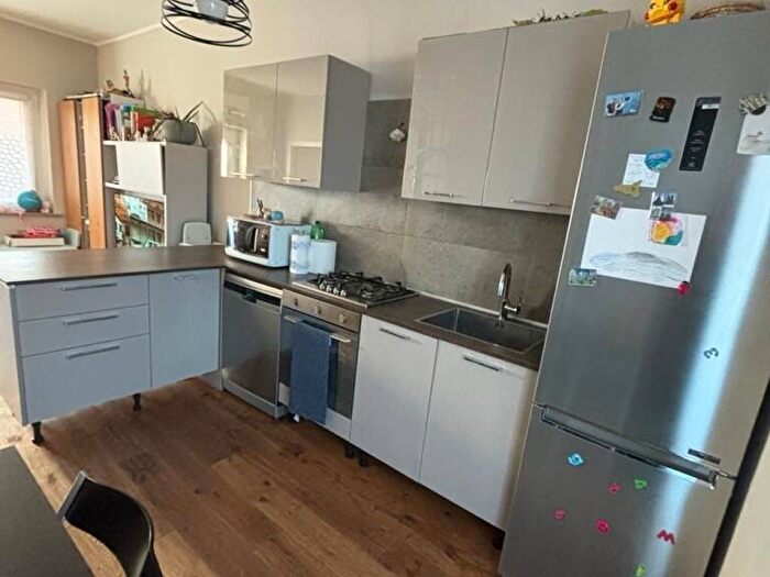 Appartamento trilocale in affitto in Via Forneri, Centro, Carignano