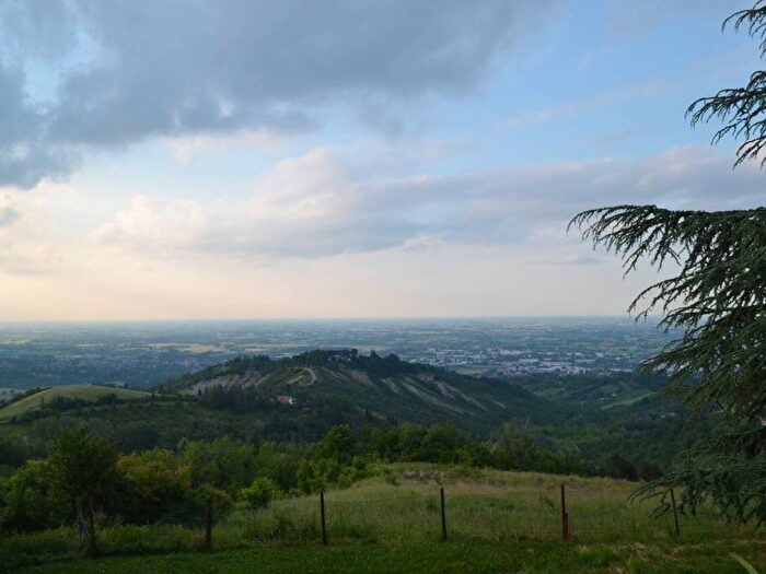 Appartamento bilocale in affitto in Via Carrani, Zola Predosa