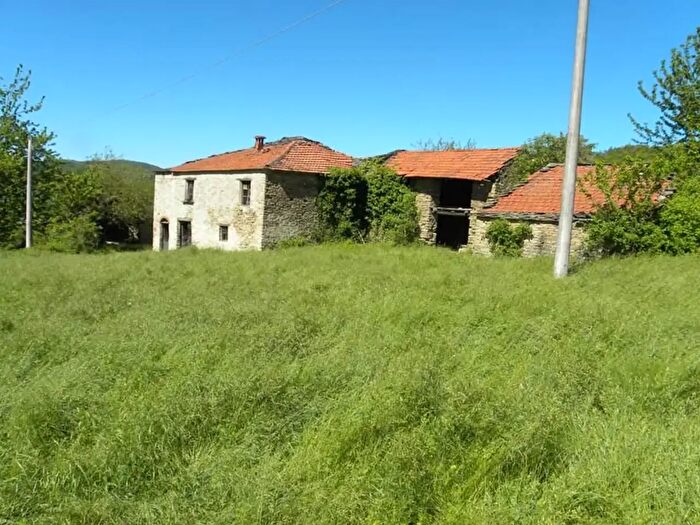 Casa con 10 locali in vendita in Ruà, Castelletto Uzzone