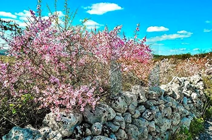 Casa in vendita in Noto