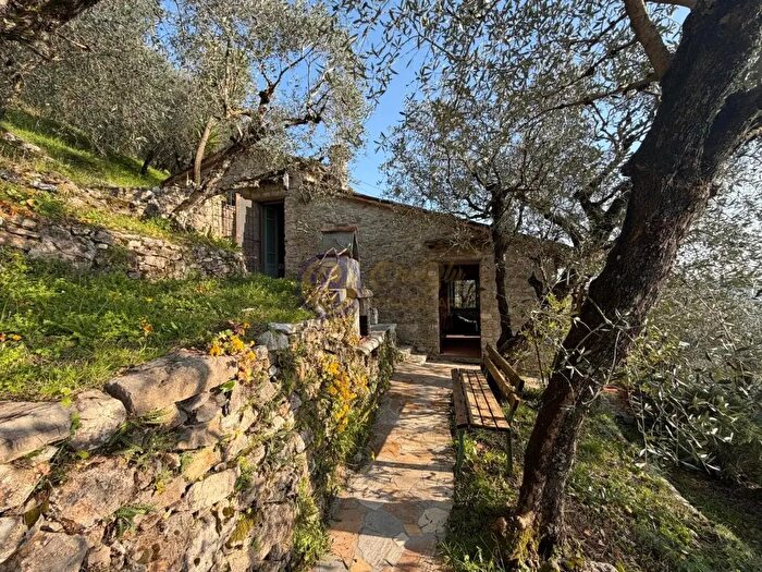 Casa con 5 locali in vendita in Camaiore