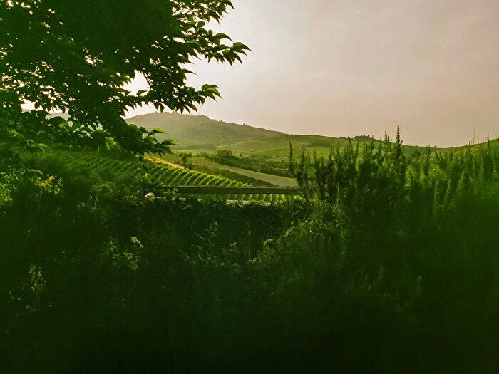 Casa con 10 locali in vendita in Premariacco