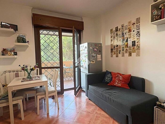 Appartamento monolocale in affitto in Via piero gherardi, Malafede, Roma